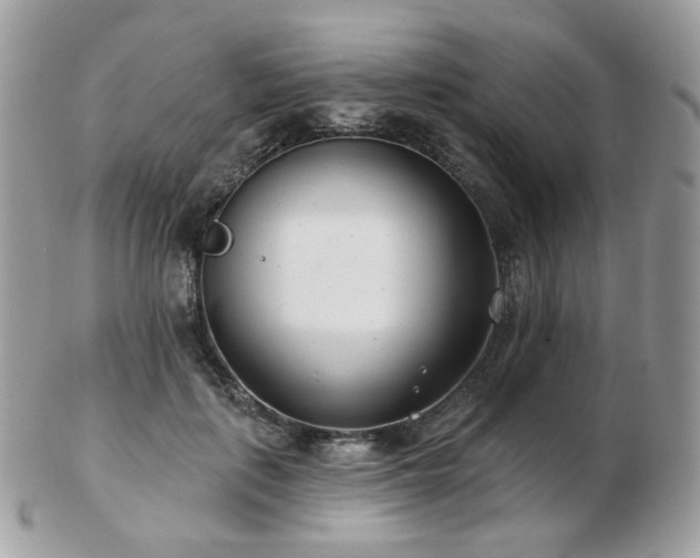 X0000103280651200808291312