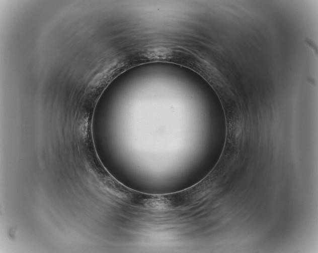 X0000103280652200808291312