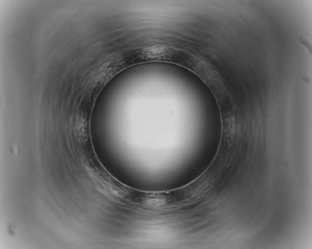 X0000103280653200808291312