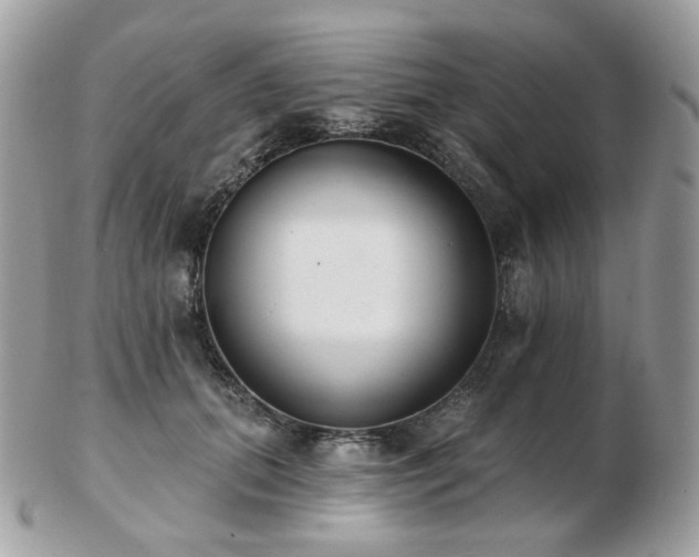 X0000103280655200808291312