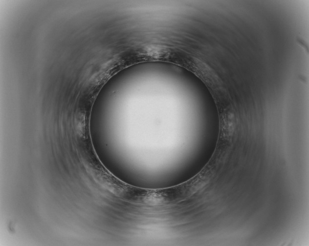 X0000103280656200808291312