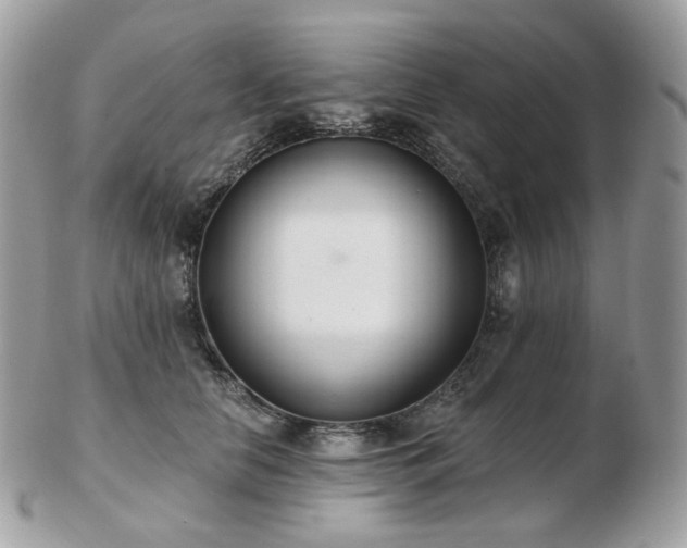 X0000103280658200808291312