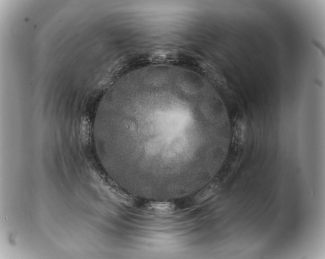 X0000103280659200808291312