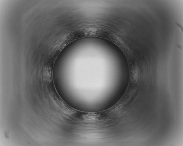 X0000103280661200808291312