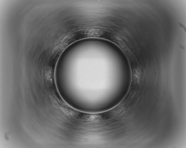 X0000103280663200808291312