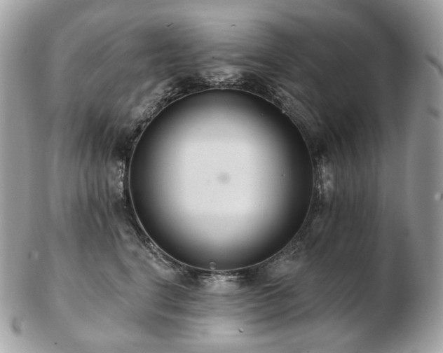 X0000103280664200808291312