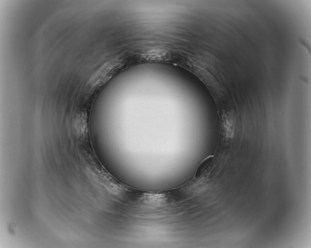 X0000103280665200808291312