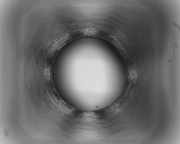 X0000103280666200808291312