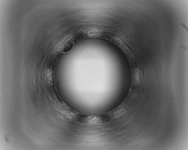 X0000103280667200808291312