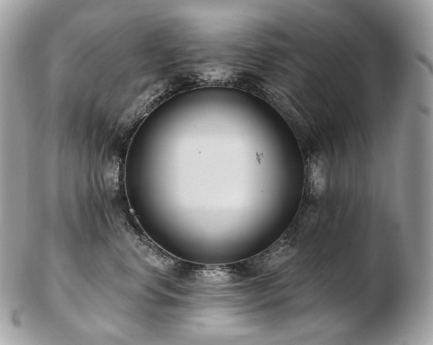 X0000103280668200808291312