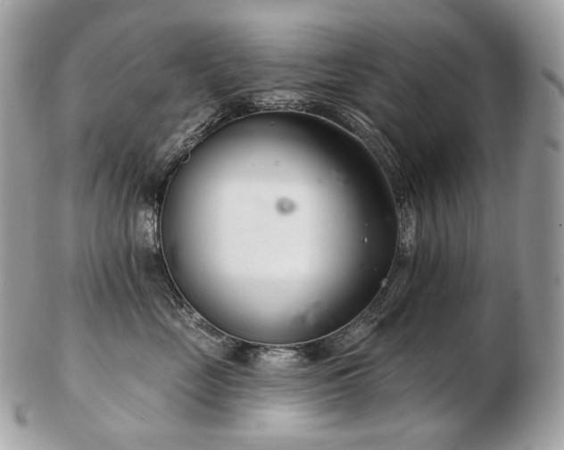 X0000103280669200808291312