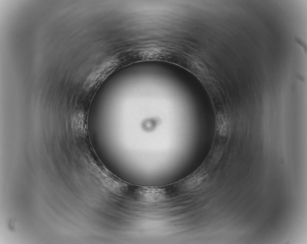 X0000103280670200808291312