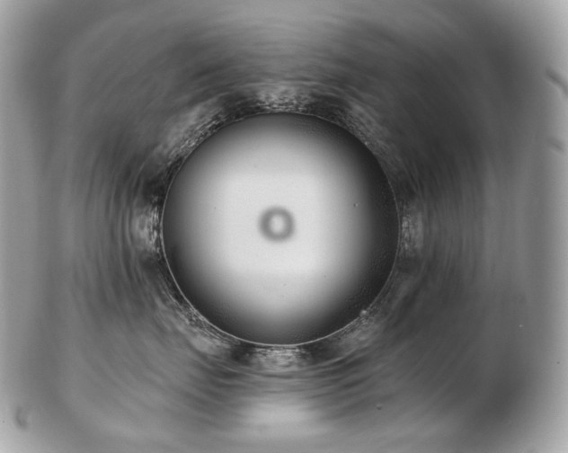 X0000103280671200808291313