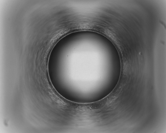 X0000103280673200808291312