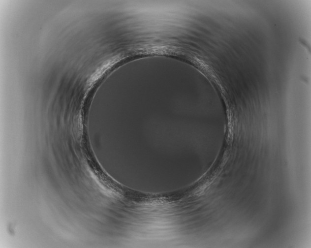 X0000103280674200808291312