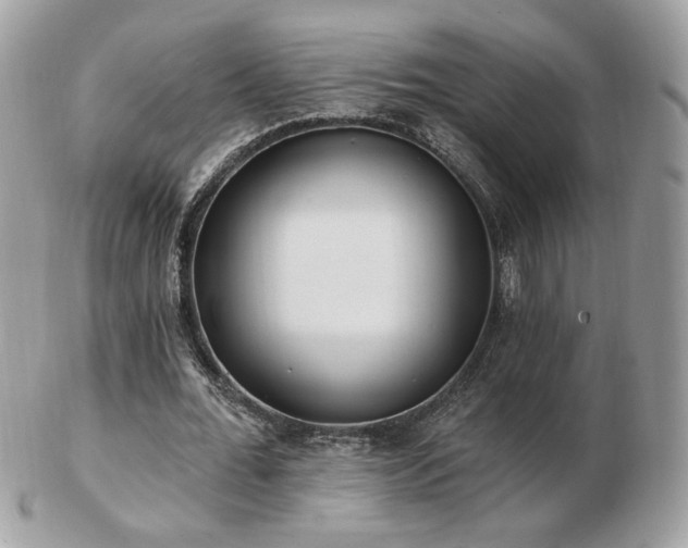 X0000103280676200808291312