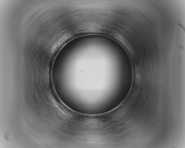 X0000103280677200808291312