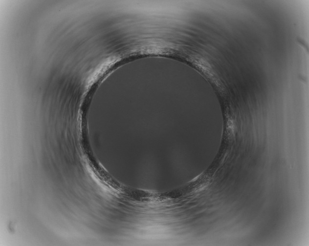 X0000103280678200808291312