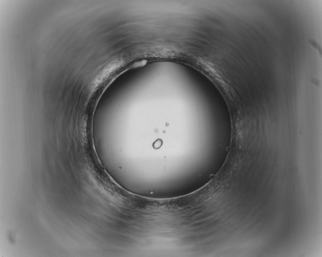 X0000103280679200808291312