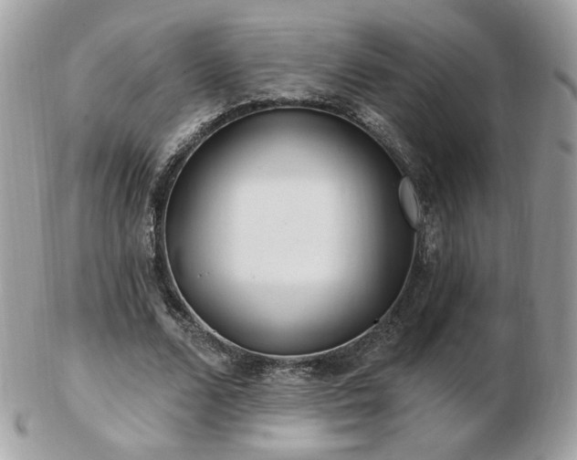 X0000103280680200808291312