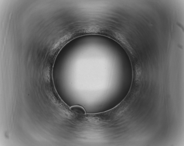 X0000103280681200808291312