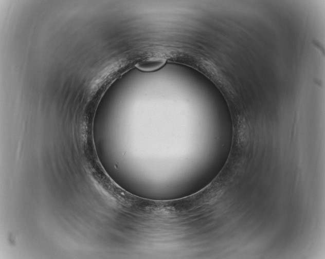 X0000103280683200808291312