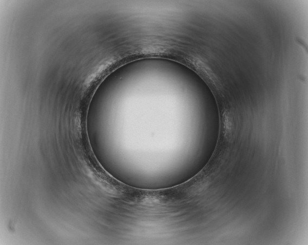 X0000103280684200808291312