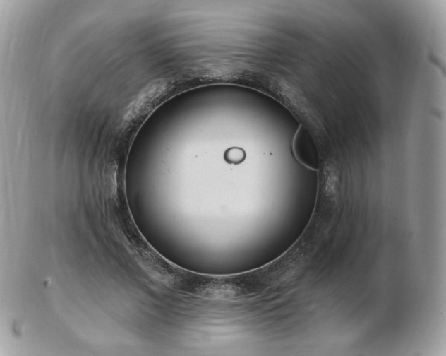 X0000103280685200808291312