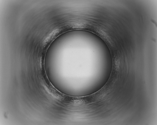 X0000103280686200808291312