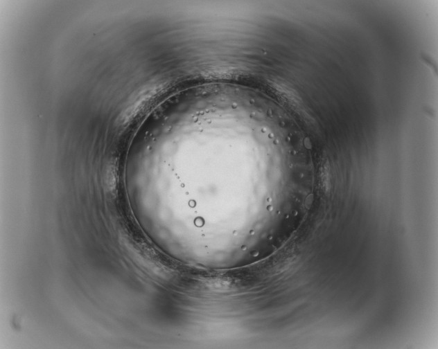 X0000103280687200808291312