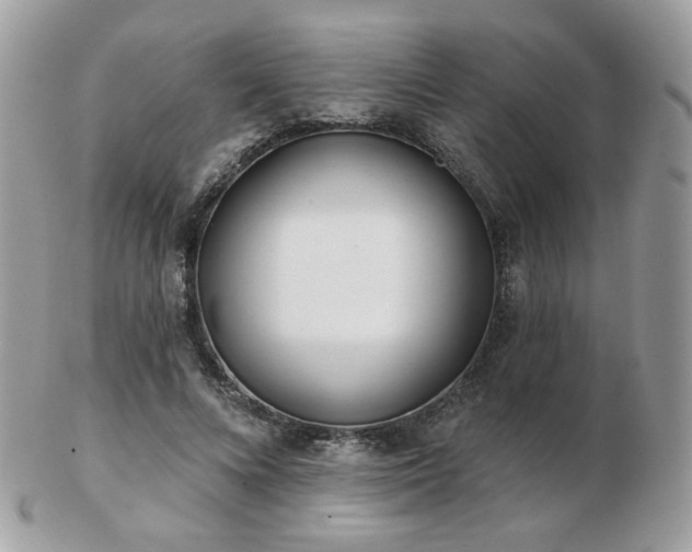 X0000103280688200808291312