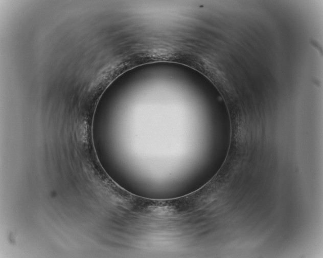 X0000103280689200808291312