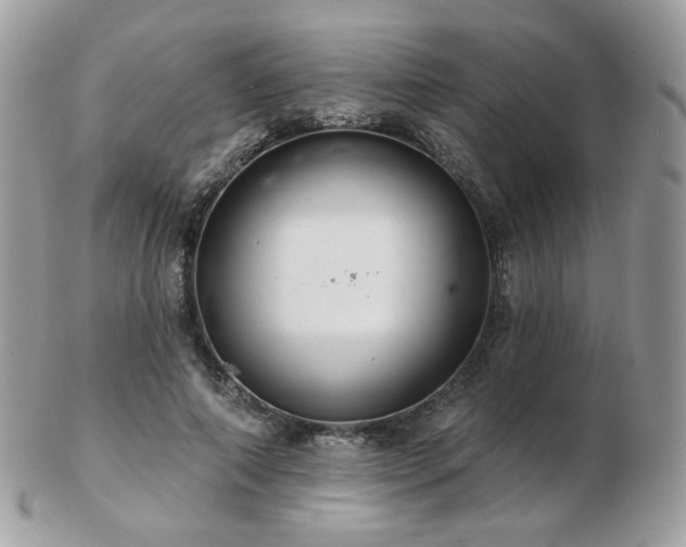 X0000103280690200808291312