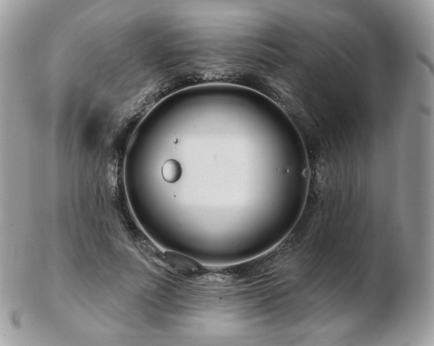 X0000103280691200808291312