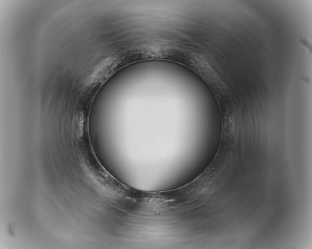 X0000103280694200808291312