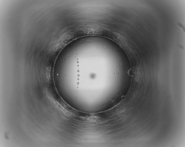 X0000103280695200808291312