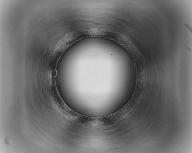 X0000103280696200808291312