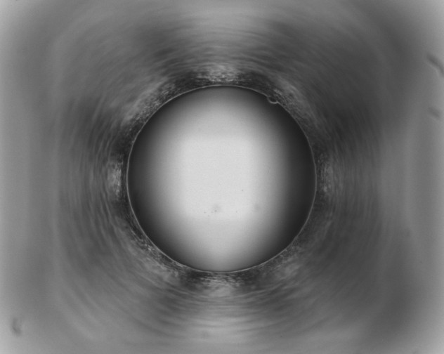 X0000103280697200808291312