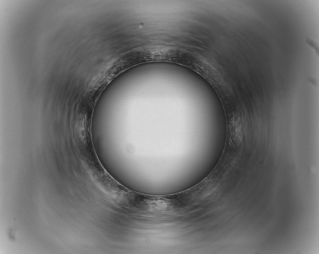 X0000103280698200808291312