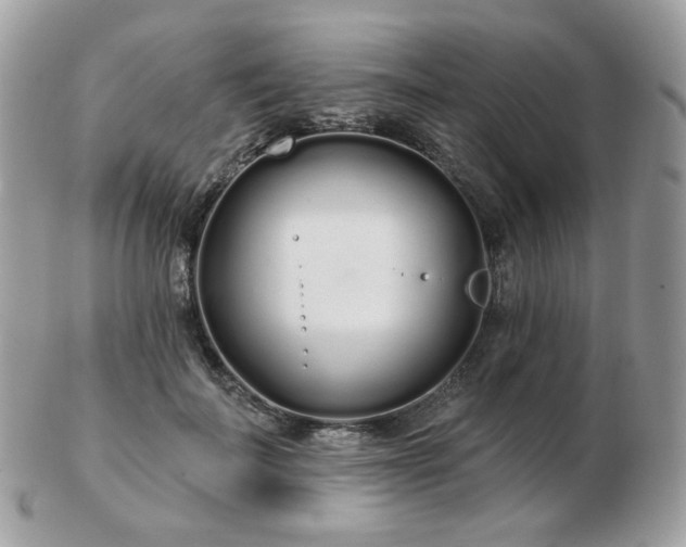 X0000103280699200808291311