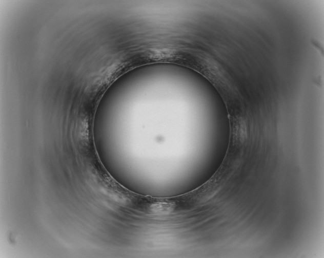 X0000103280700200808291311