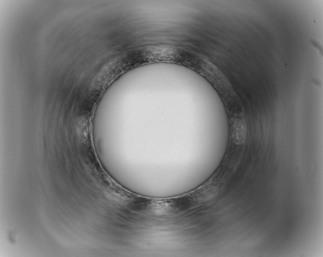 X0000103280701200808291311