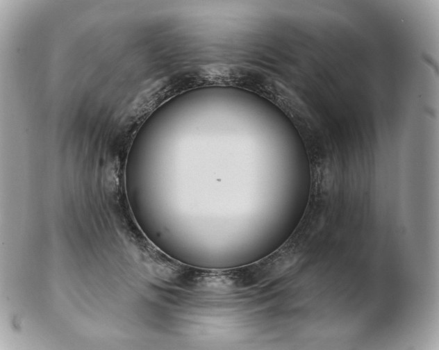 X0000103280702200808291311