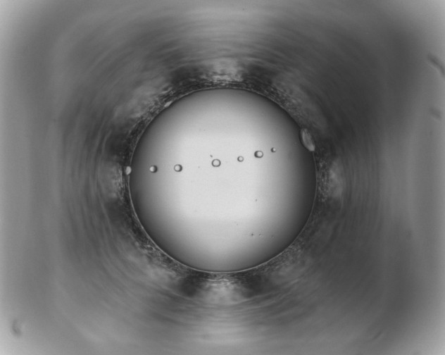 X0000103280704200808291311