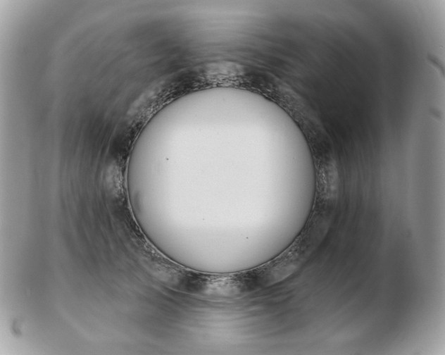 X0000103280705200808291311