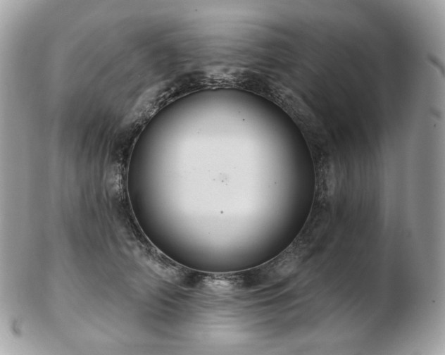 X0000103280706200808291311