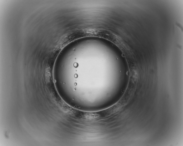 X0000103280707200808291311