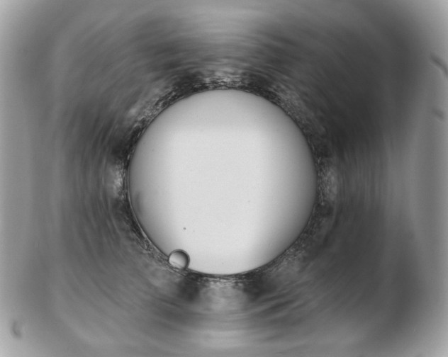 X0000103280709200808291311