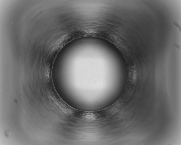 X0000103280710200808291311