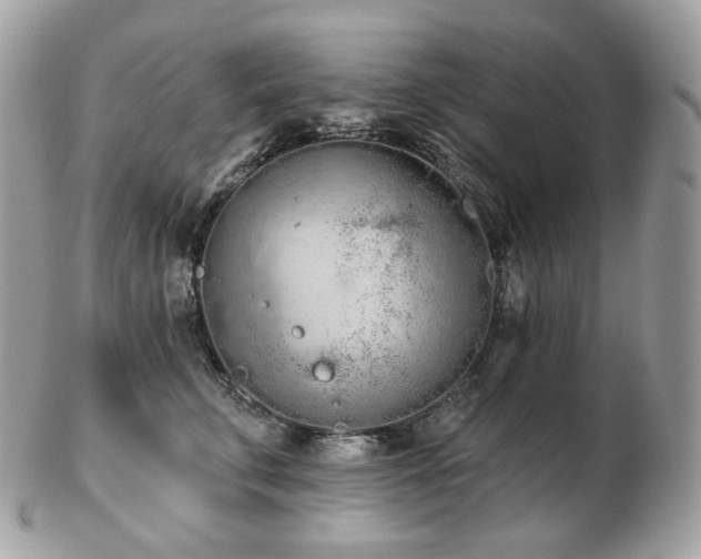 X0000103280711200808291311